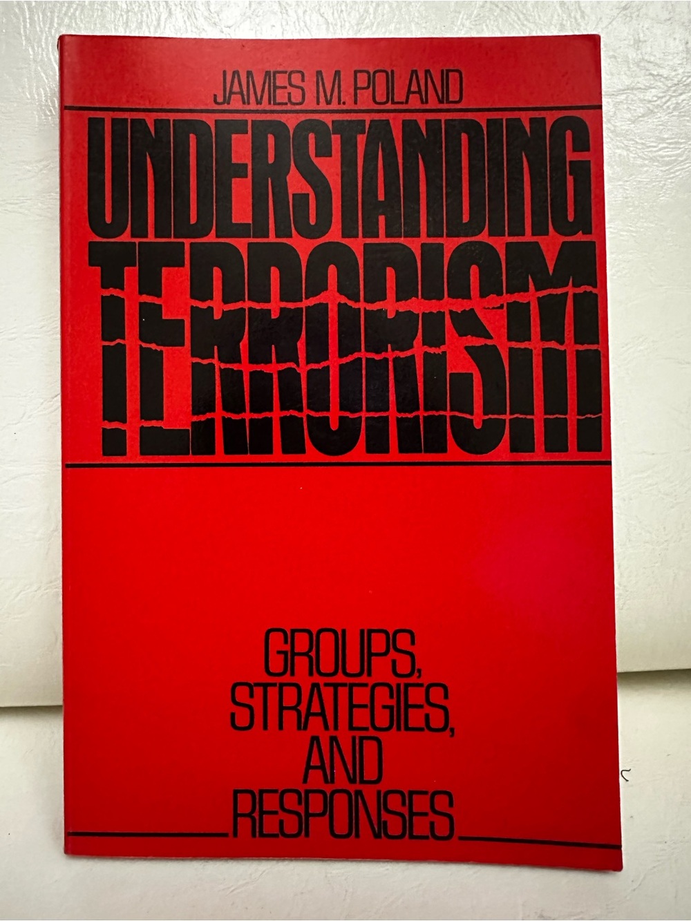 Understanding Terrorism by James M. Poland